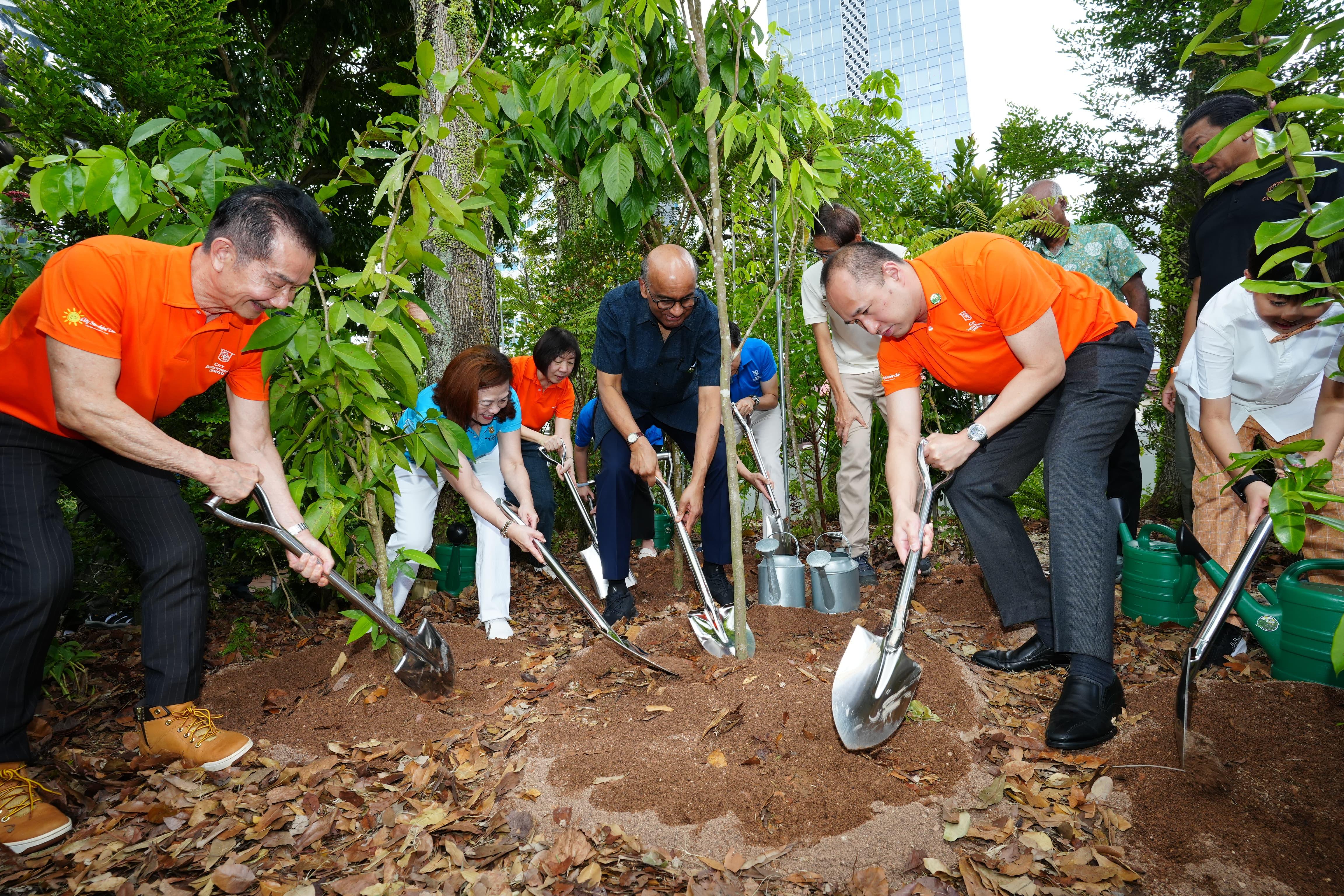 Photo of President Tharman Shanmugaratnam and his entourage planting a tree